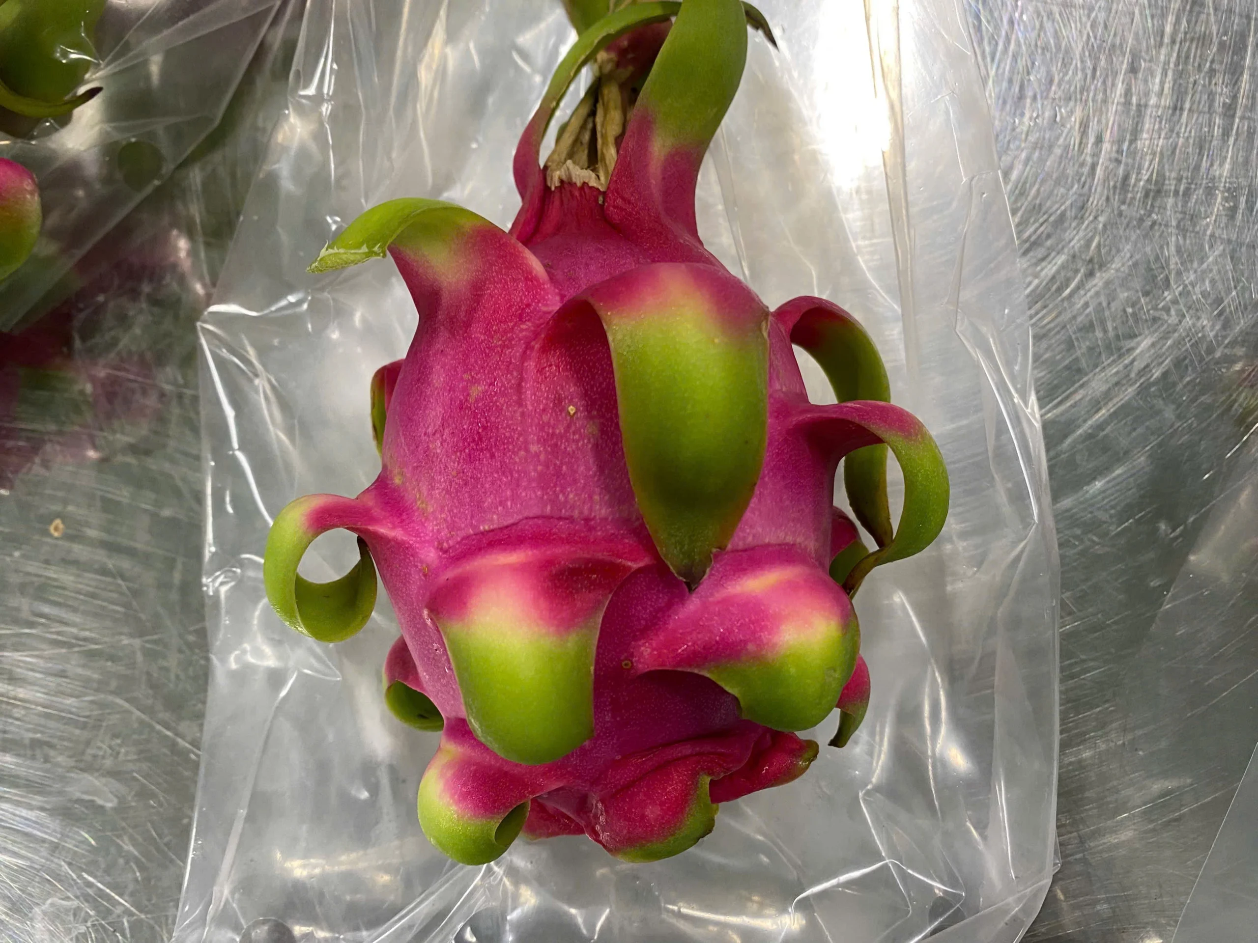 Dragon Fruit