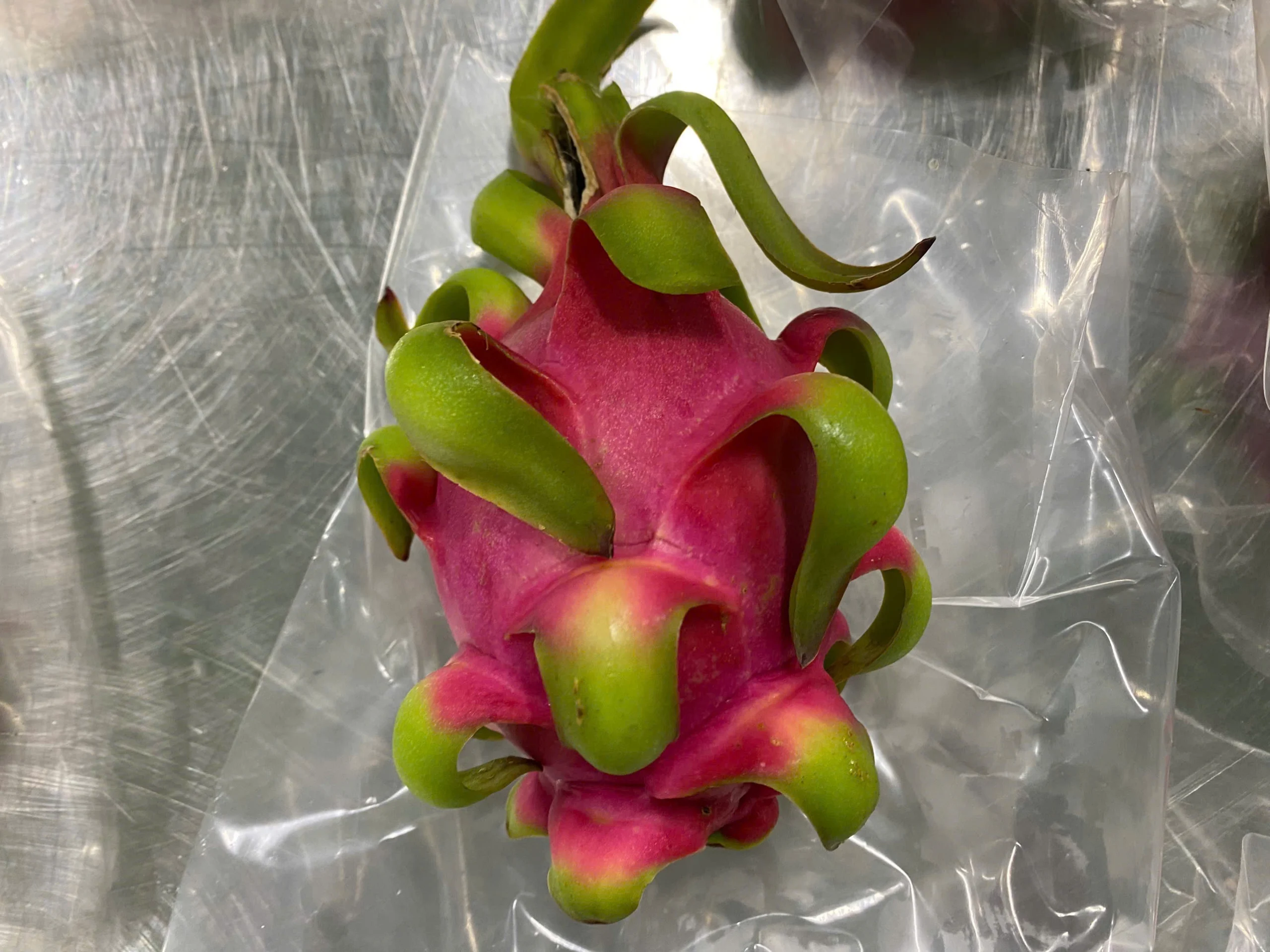 Dragon Fruit