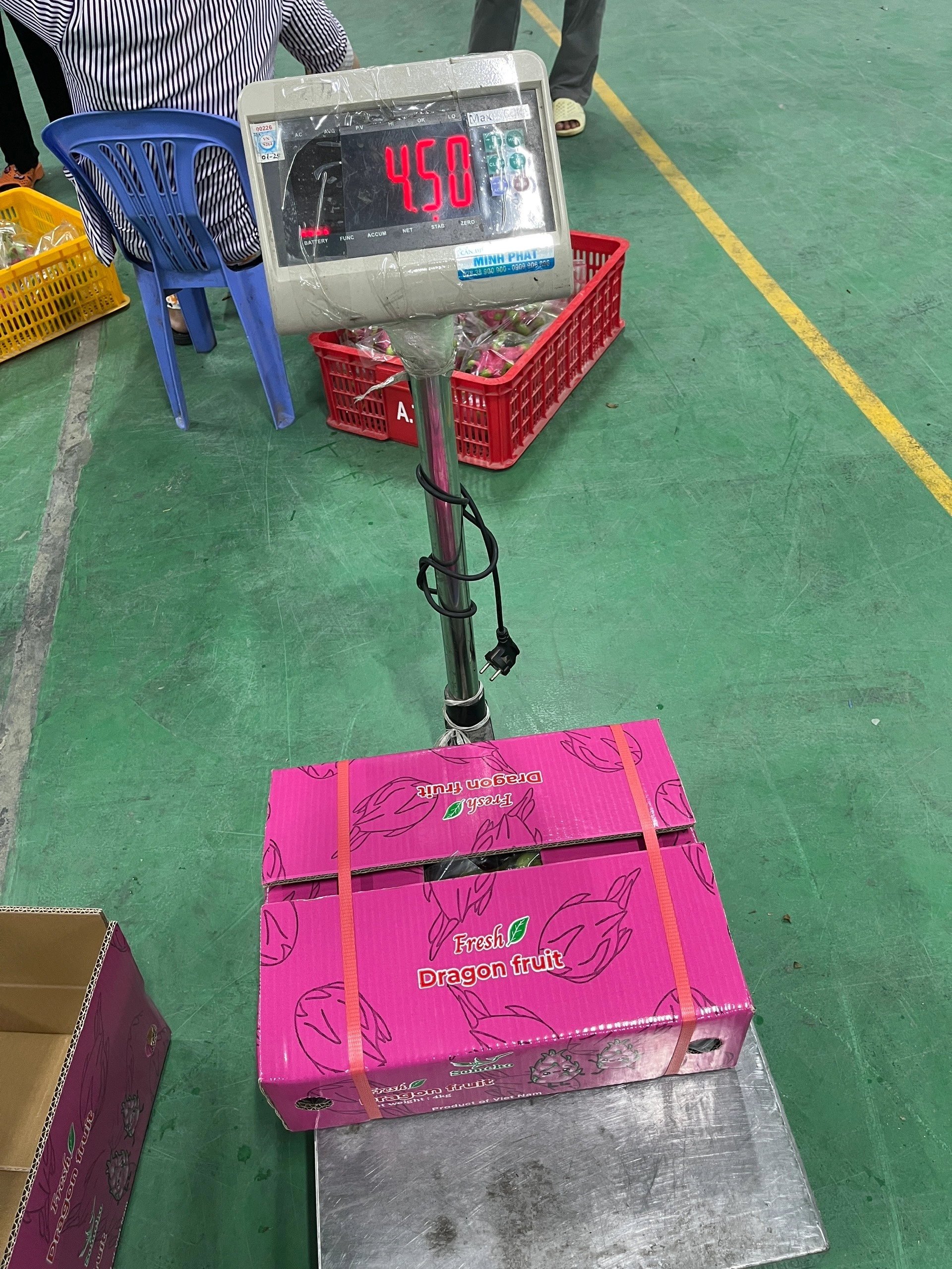 Dragon Fruit