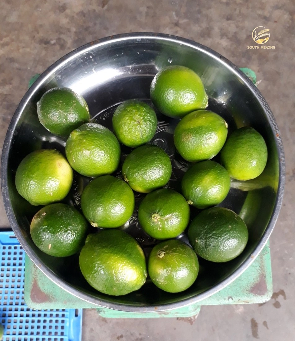 FRESH LEMON