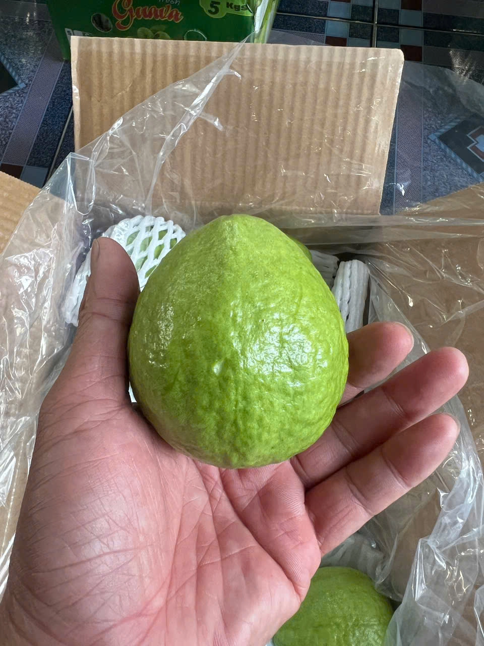 GUAVA