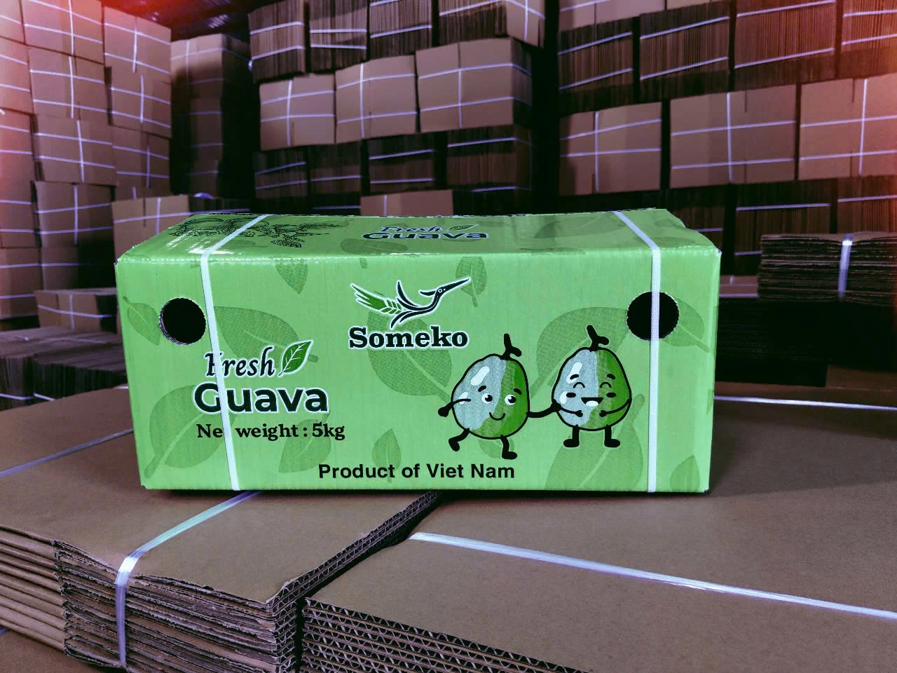 GUAVA