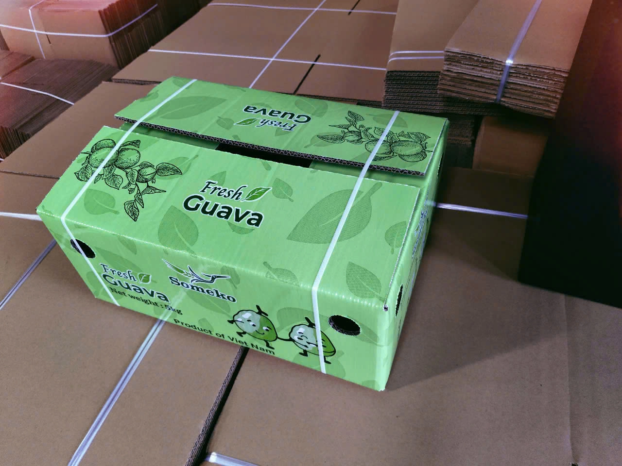 GUAVA
