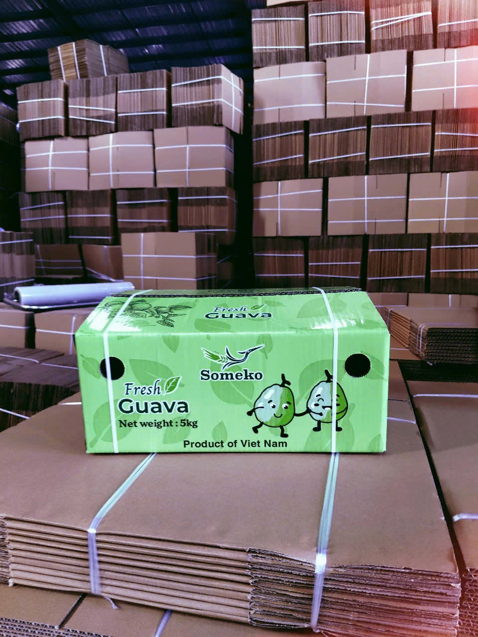 GUAVA