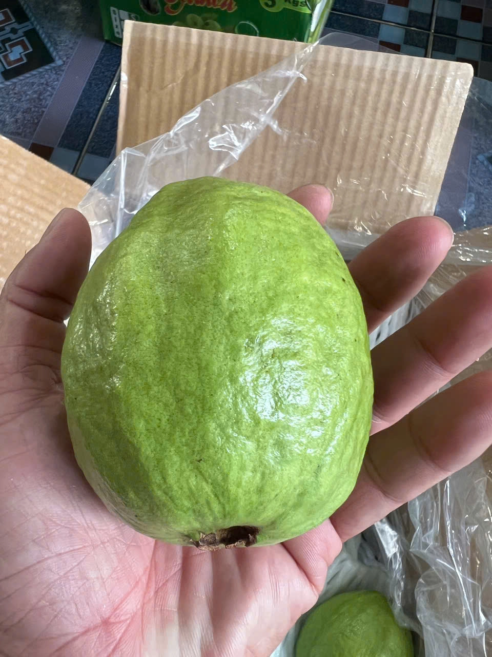 GUAVA