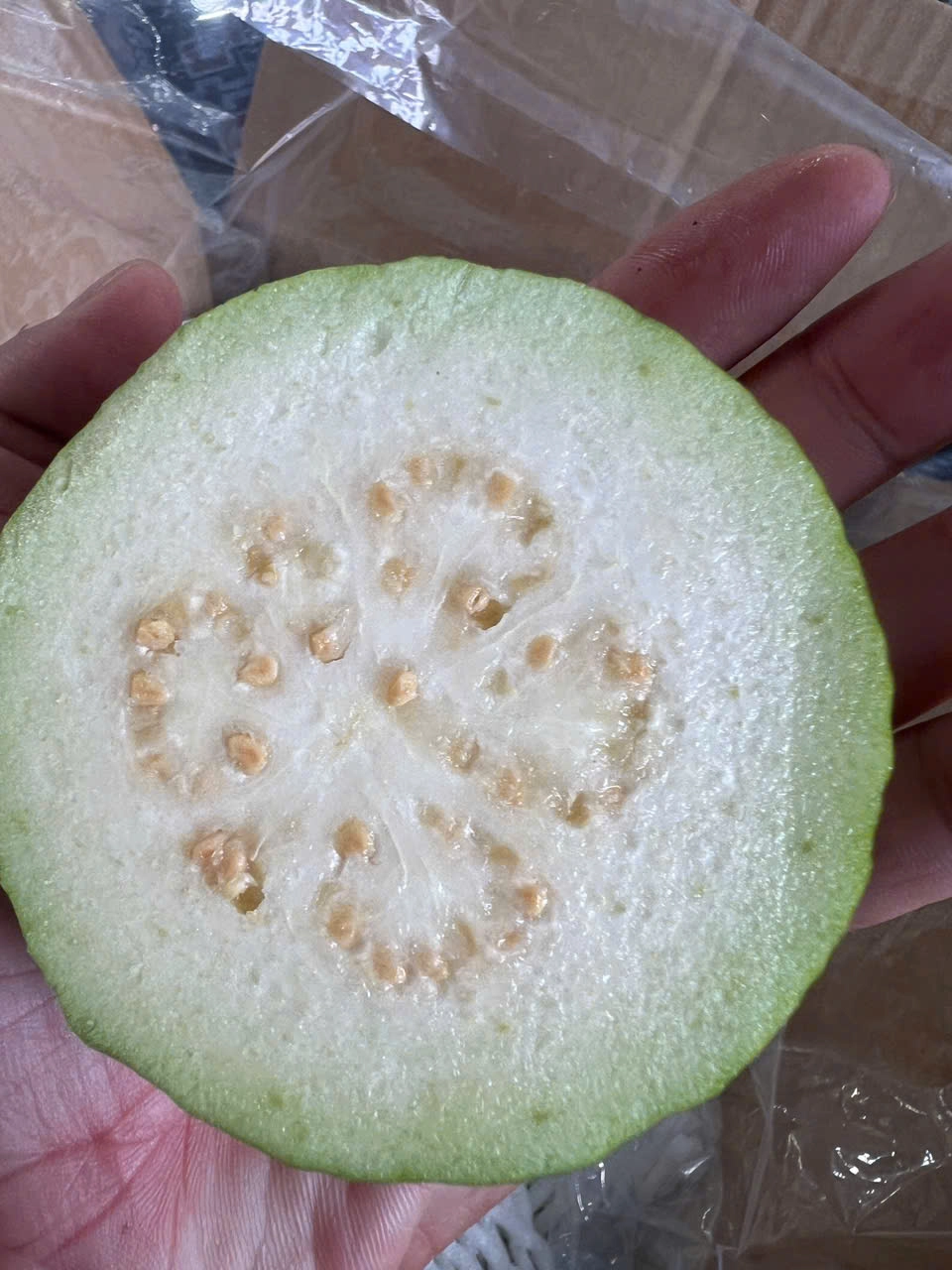 GUAVA