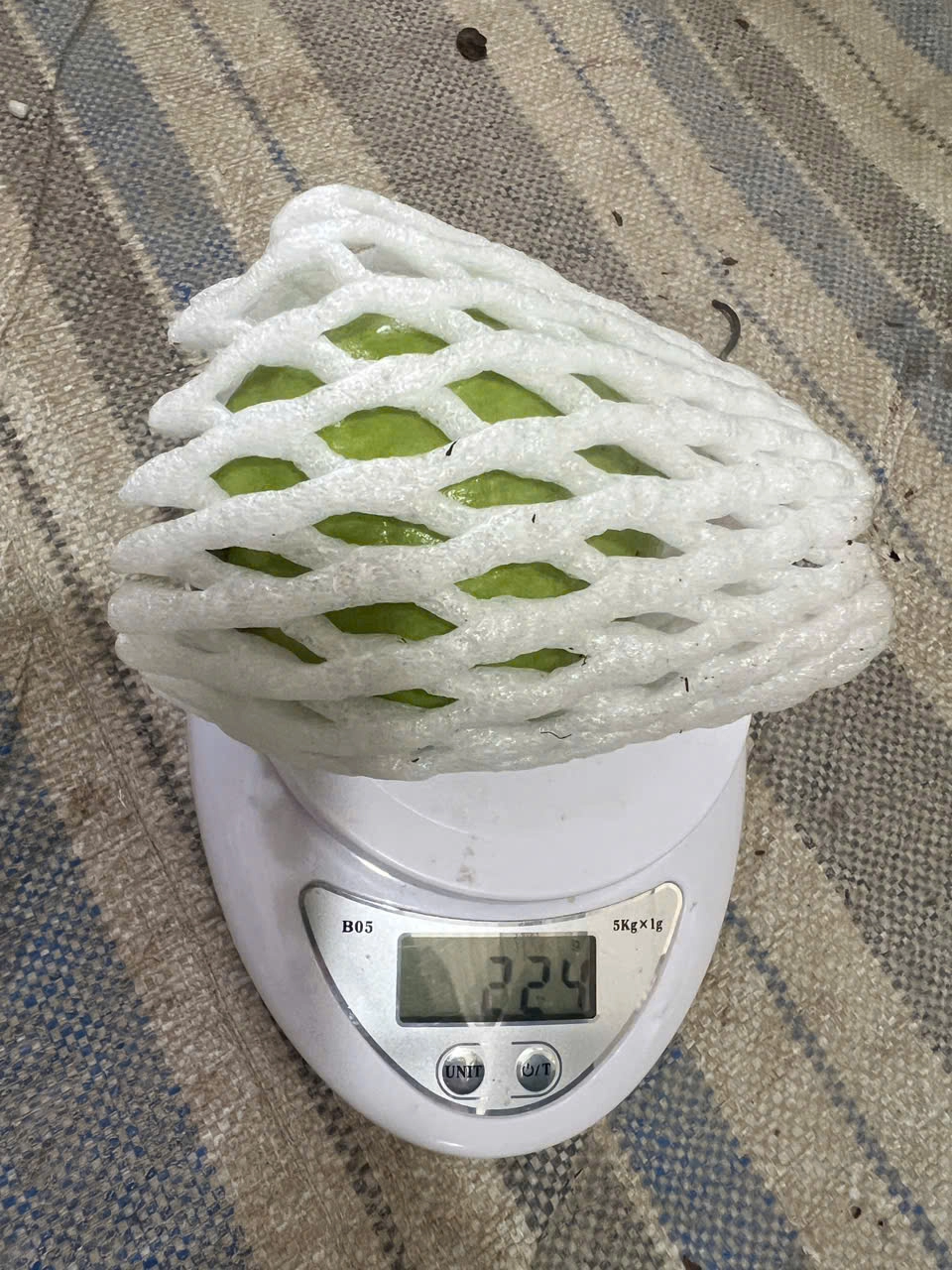 GUAVA