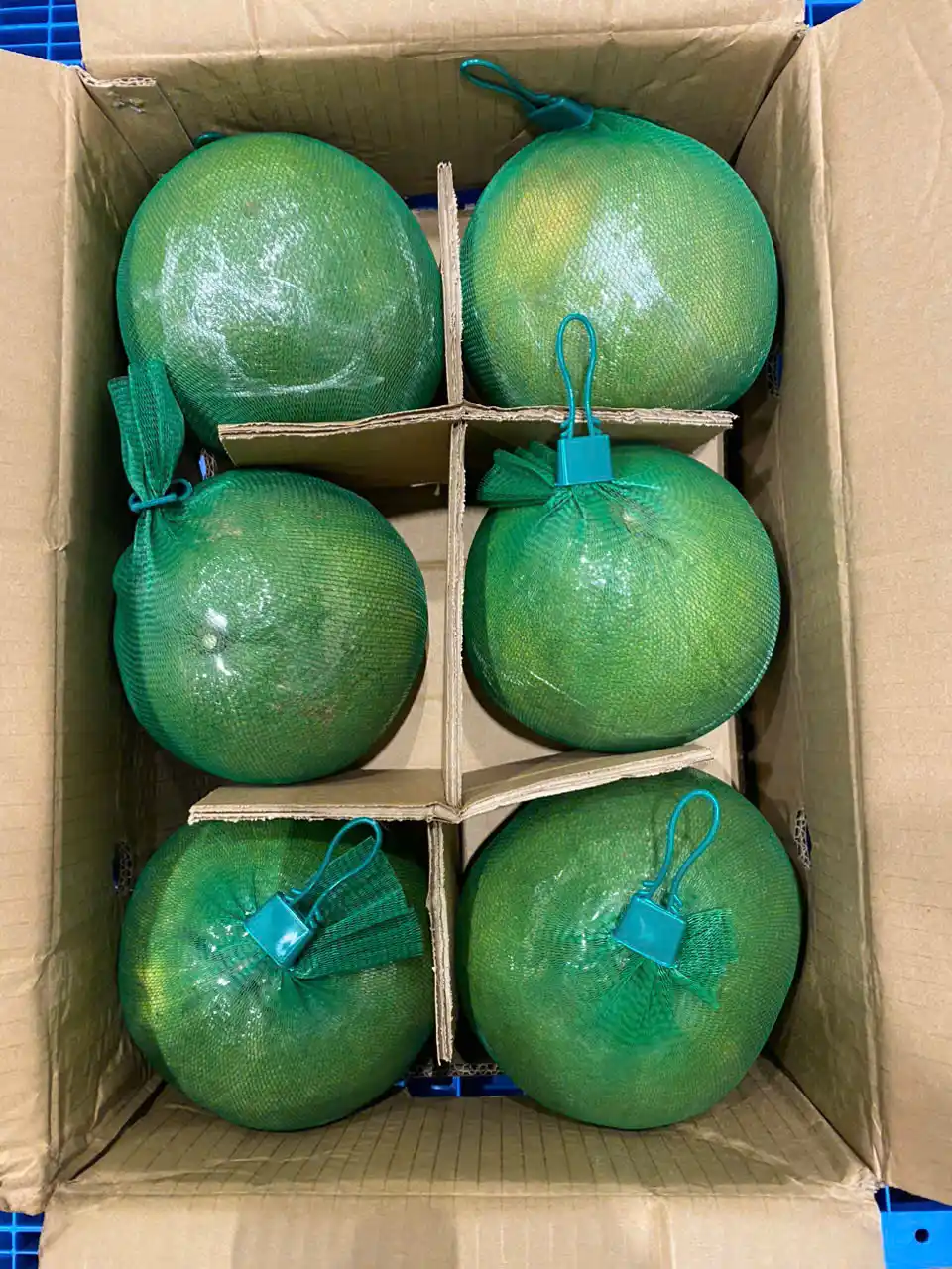 Pomelo