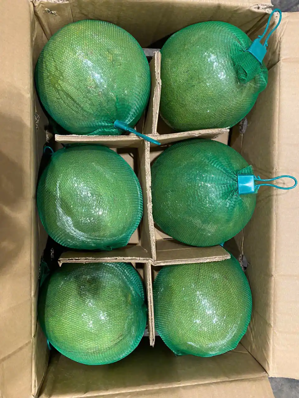Pomelo
