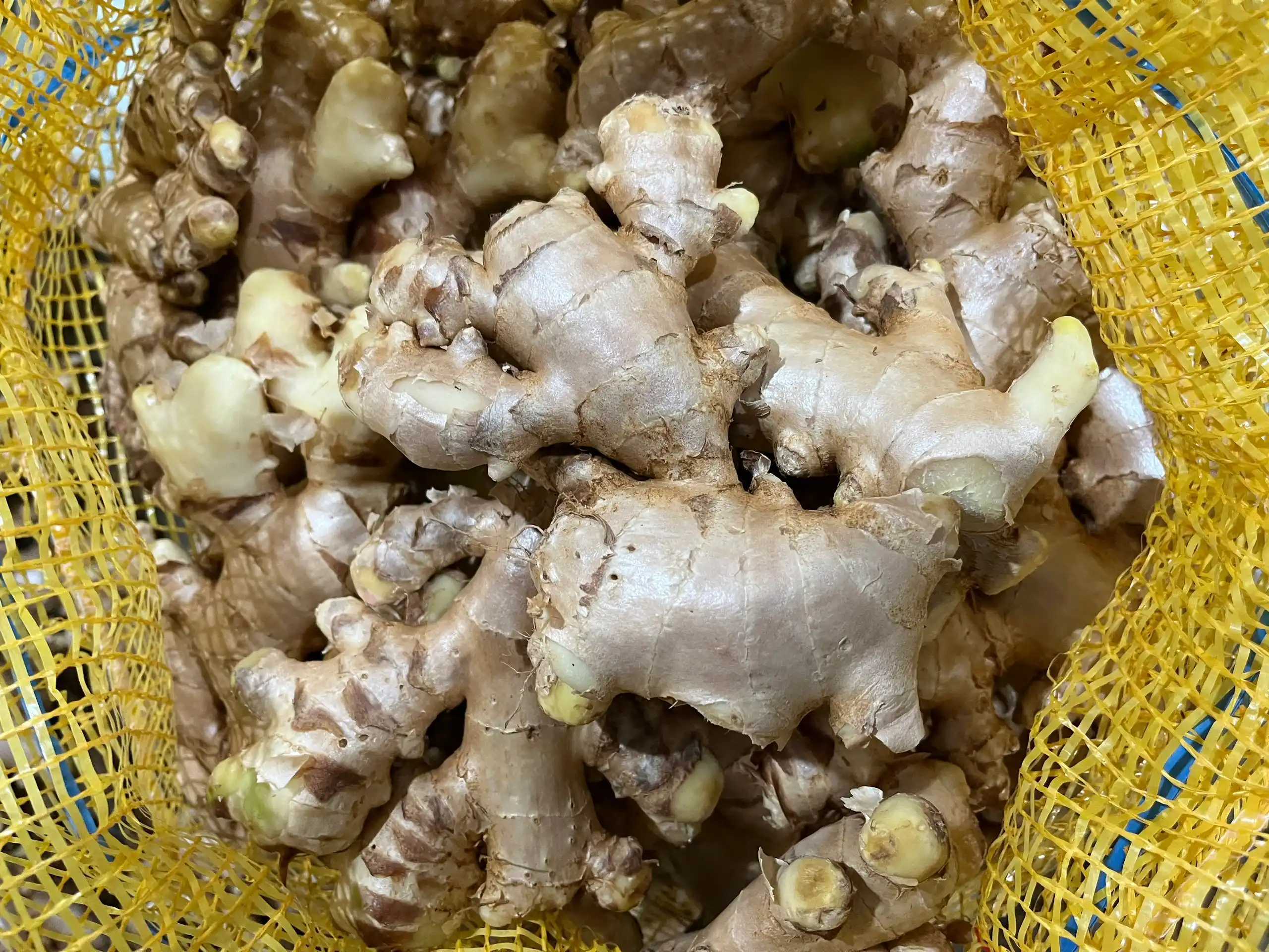 Fresh Ginger