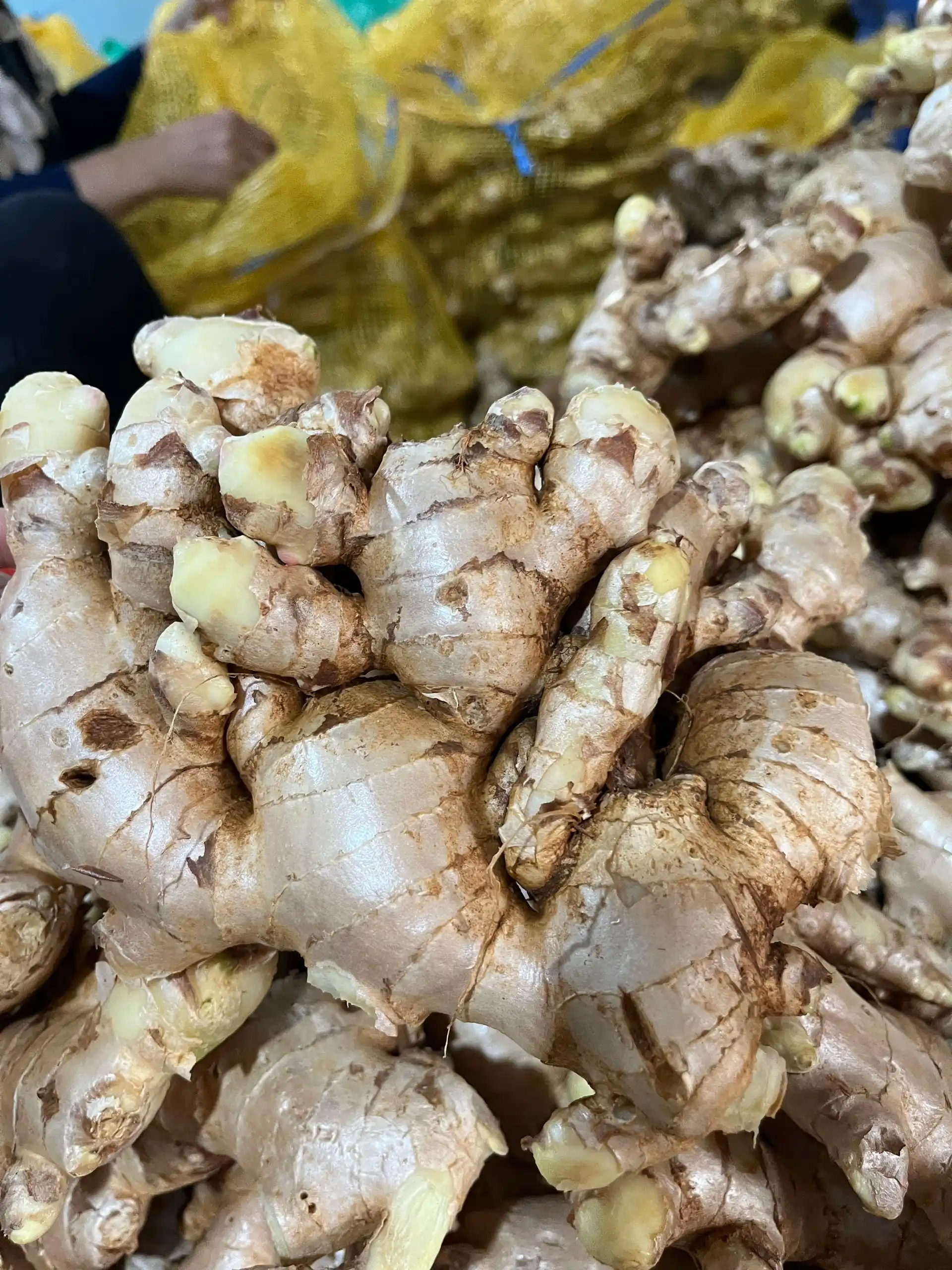 Fresh Ginger