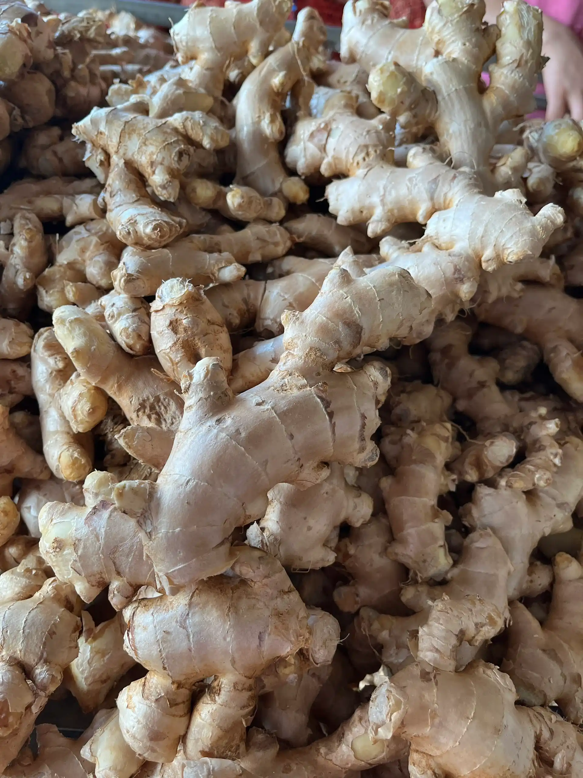 Fresh Ginger