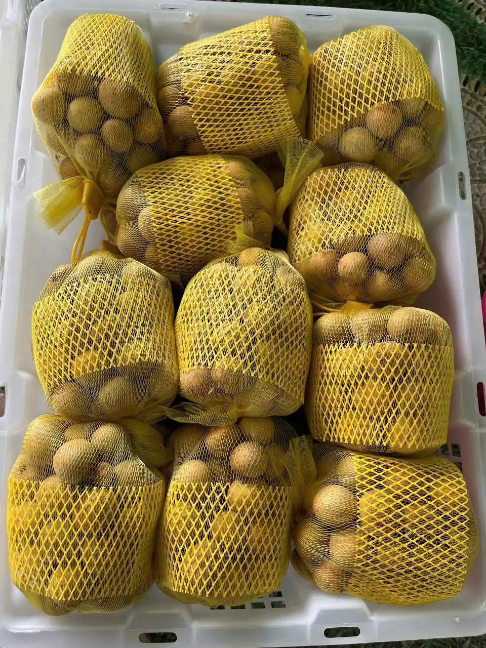 Fresh Longan